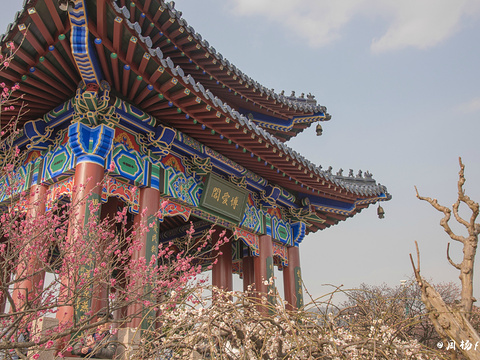 梅花山旅游景点图片