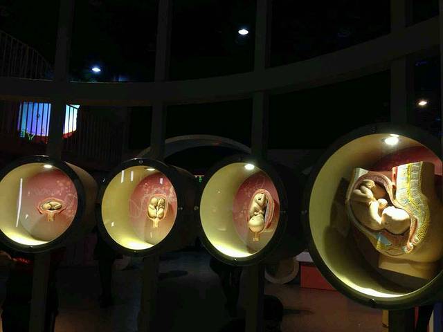 厦门市青少年天文气象馆