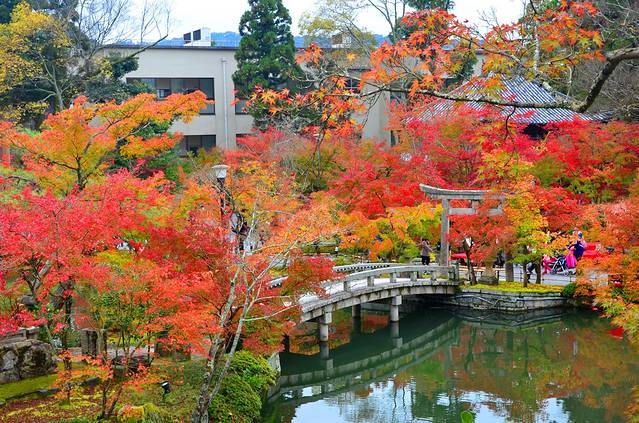 禅林寺 (永観堂)