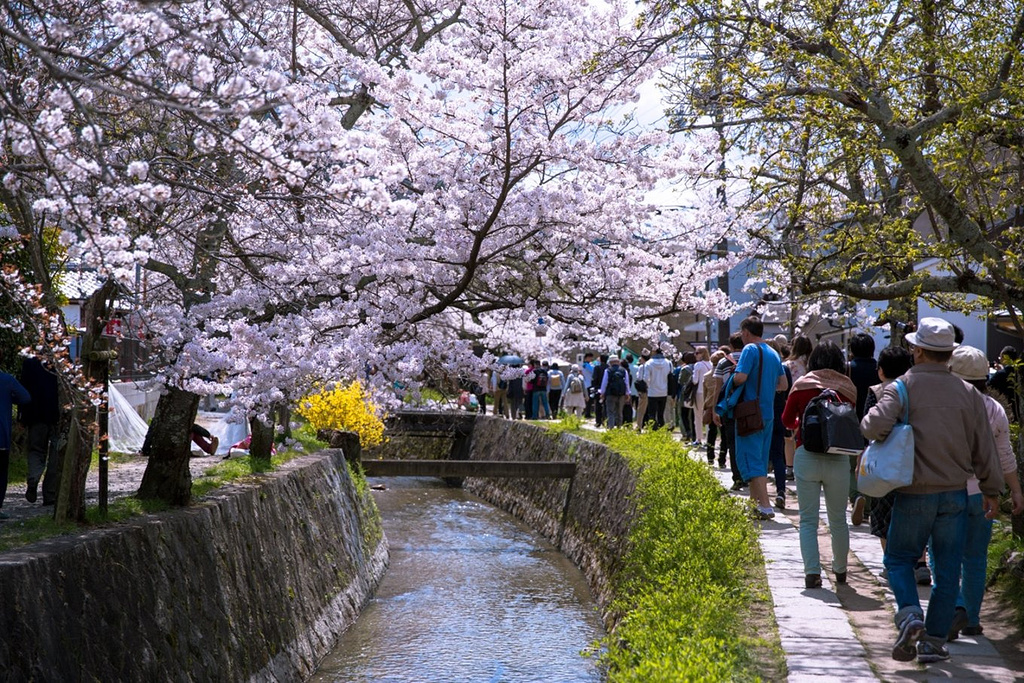 2016哲学之道_旅游攻略_门票_地址_游记点评,京都旅游景点推荐 - 去