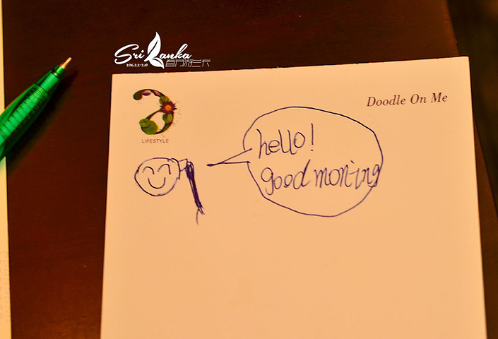 2017斯里兰卡科伦坡肉桂湖畔酒店 (Cinna._肉