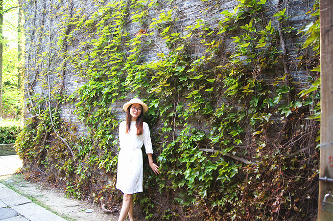 石板小巷烟柳画桥乌镇