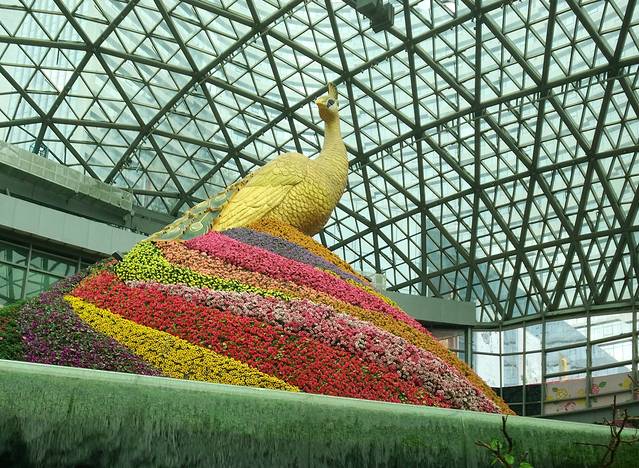 七彩云南花之城