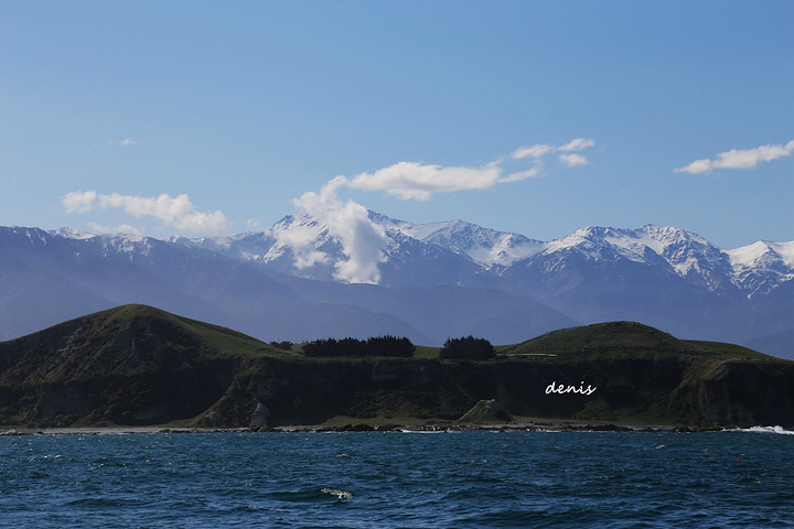 2017非常幸运快艇出海20分钟就看到了巨无霸