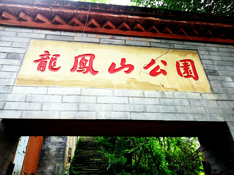 龙凤山公园旅游景点攻略图