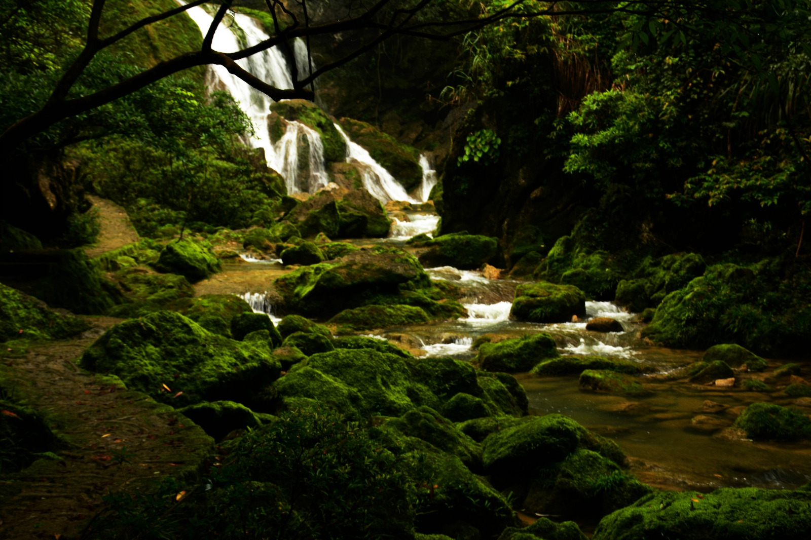 2020茂兰喀斯特森林游玩攻略,.的人,景区的名字都忘了,.