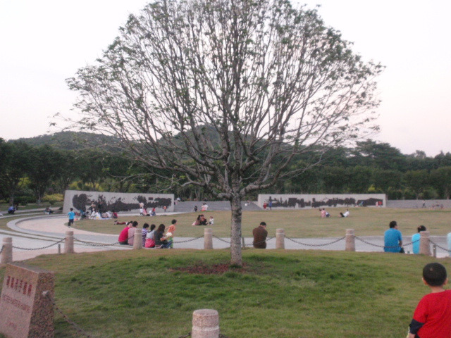 2019莲花山公园游玩攻略,深圳莲花山公园是深