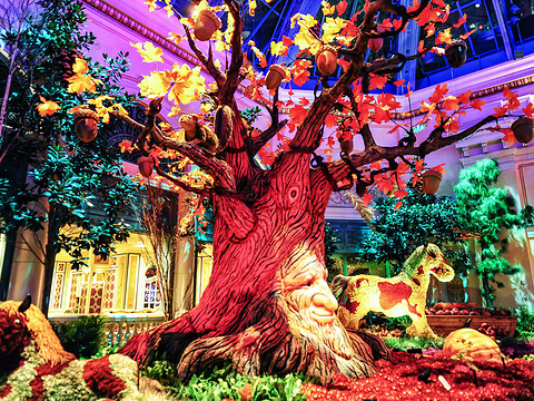 21贝拉吉欧温室植物园 旅游攻略 门票 地址 问答 游记点评 拉斯维加斯旅游旅游景点推荐 去哪儿攻略