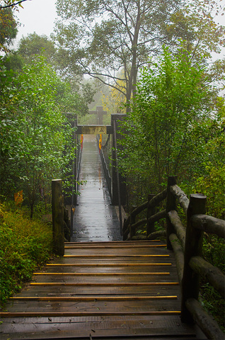 剑阁排名_剑阁中学
