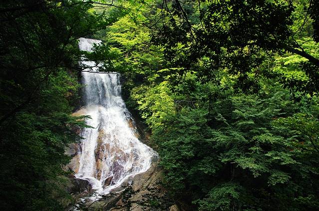 大别山国家森林公园