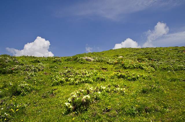 芦芽山旅游度假区