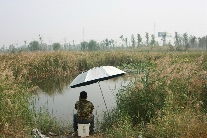 2017另外芦苇花也不错,作为装饰品放在家里_