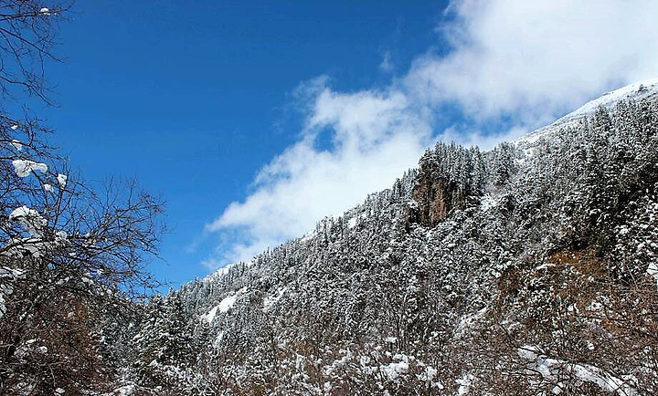 "经过昨天海拔较高的梦笔山，我觉得我爬玛嘉沟这座雪山完全不用担心高反了。木栈道上的羊群_玛嘉沟"的评论图片