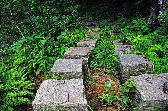 大别山国家森林公园