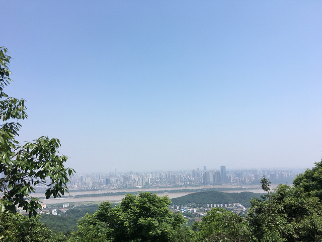 "岳麓山⬆️长沙市的最高山吧，山上的风景比较一般，这种城市中央的山，一般都大同小异，只是山上的主题不同_岳麓山"的评论图片