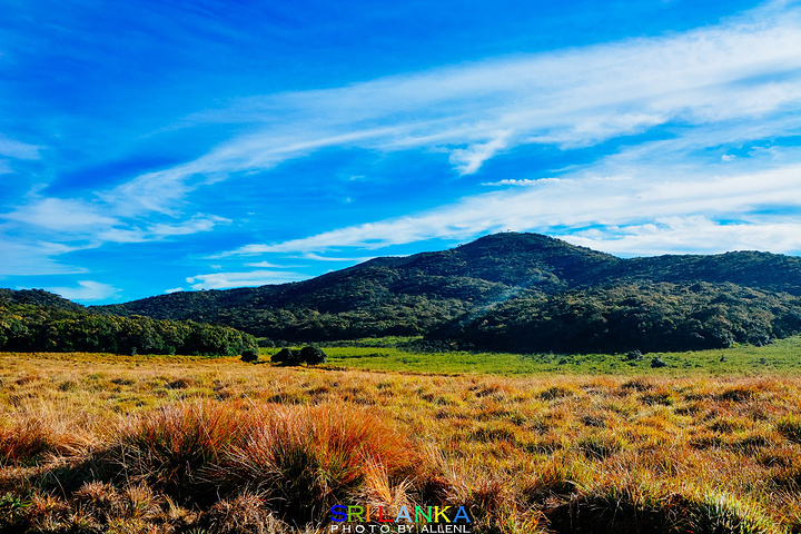 山下一望无垠的原野依旧笼罩在如烟似纱的晨雾中好像仙境一般随着小道