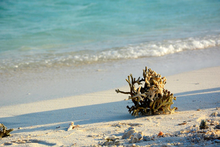 "全富岛上有洁白细软的沙滩，可以说是三座岛屿中沙滩质量最好的，踩在上边都很舒服，像在做massage_全富岛"的评论图片