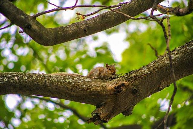 感受太阳的温度,波士顿大暴走