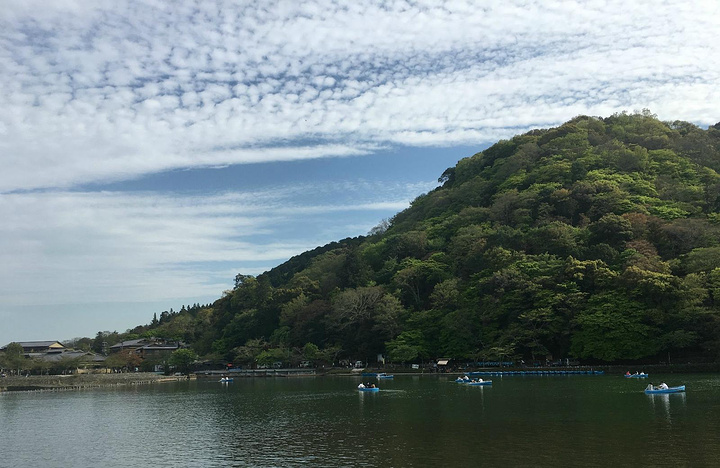 2017这里是京都人公认看樱花最美的地方_岚山