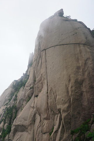 鳌鱼背来自游记黄山的灵秀,宏村的静美
