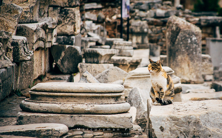 2017美杜莎是希腊神话中的美丽女妖。因为和