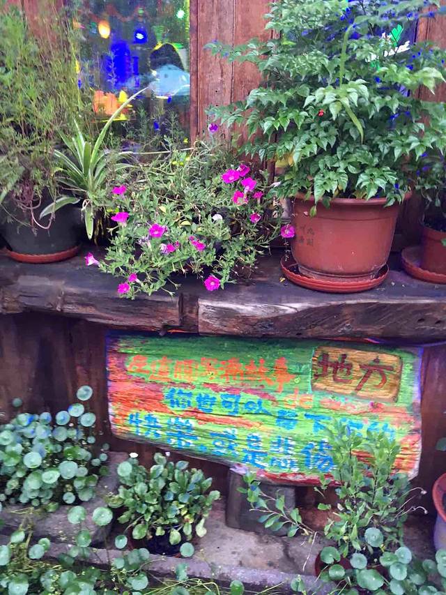 老树林live house音乐酒吧(乌镇店)