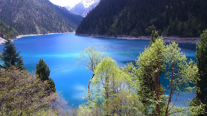 长海诺日朗瀑布,西游记取景地查看全部第4天九寨沟风景区5分/143篇