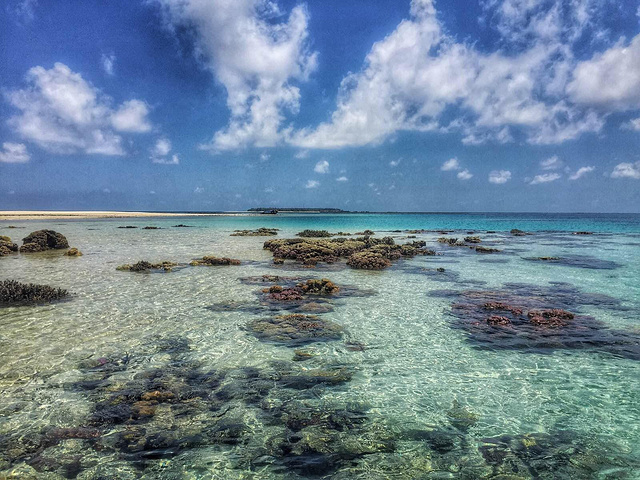 超好吃的一条卖鱼的小船开了过来小黑准备把船开过来 出发了渔夫钓上