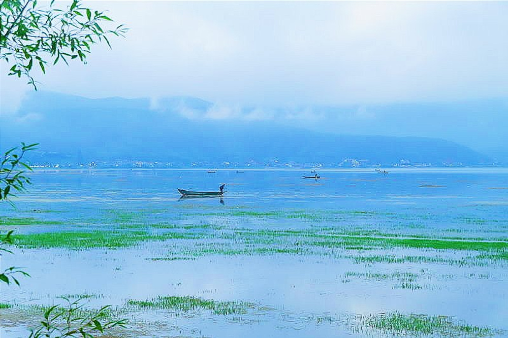 当“萤火虫”相遇彩云之南