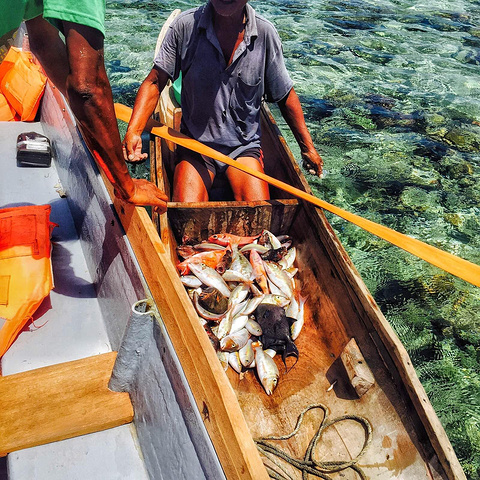 开船的船夫 小黑算导游吧小黑在穿饵料 鱼饵是墨鱼仔哈哈轻而易举就吊