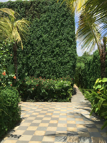 (巴厘岛的酒店入住一般都会送果汁,我们住了三