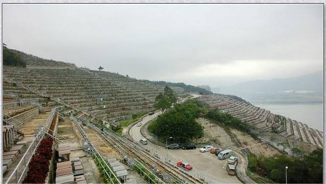 将军澳华人永远坟场