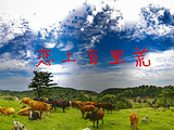 宜昌旅游景点攻略图片