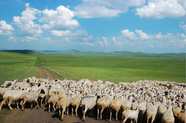 金帐汗旅游部落