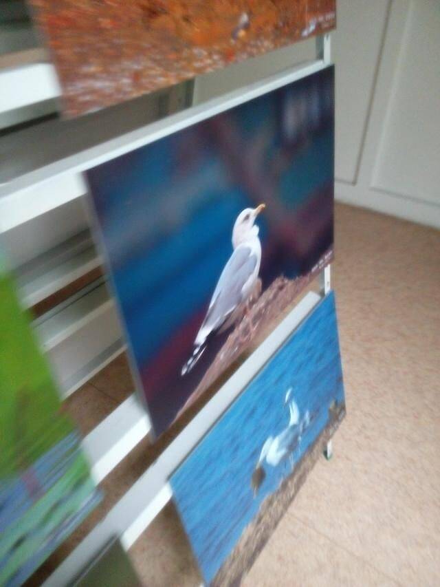 秦皇岛鸟类博物馆