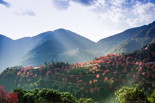 无量山自然风景保护区