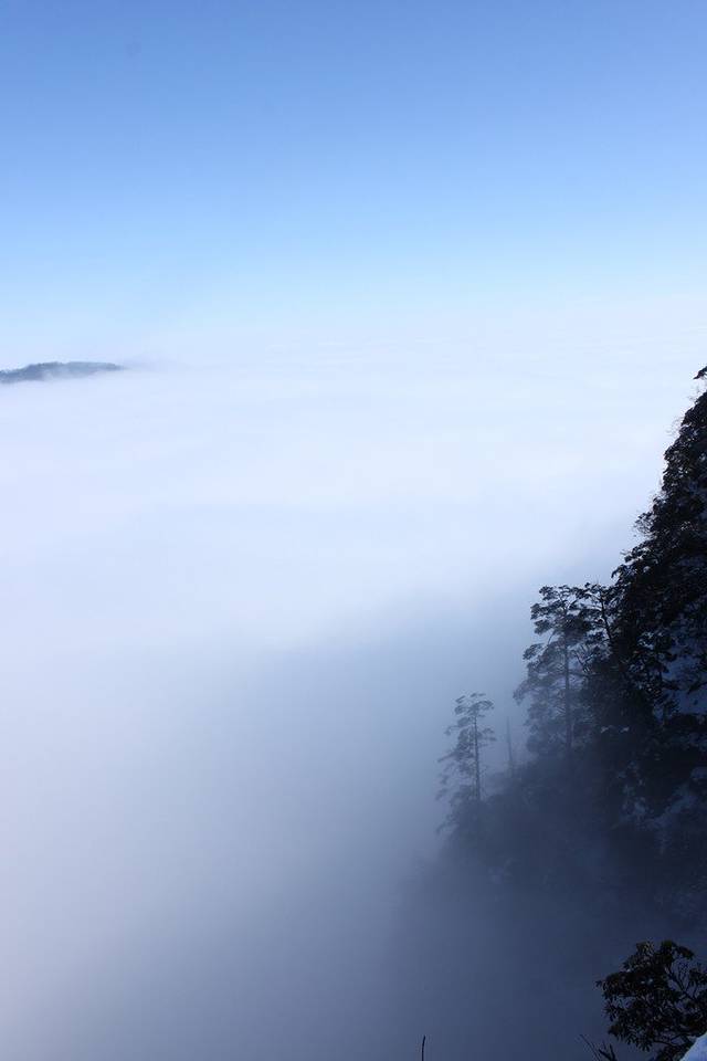 冬季到峨眉山来看雪~