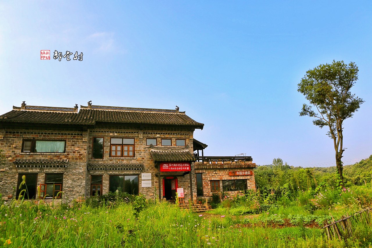 格桑花围绕着片片荷塘璀璨地绽放着,自然散布的民居房屋,豫南的 狗头