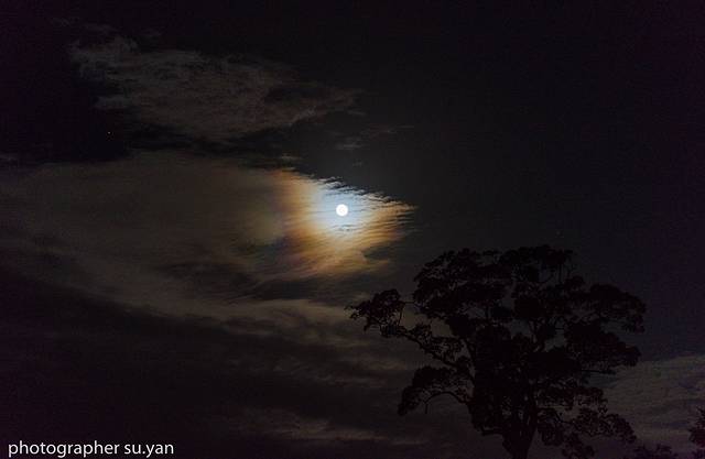 揭开神秘曼谷的面纱