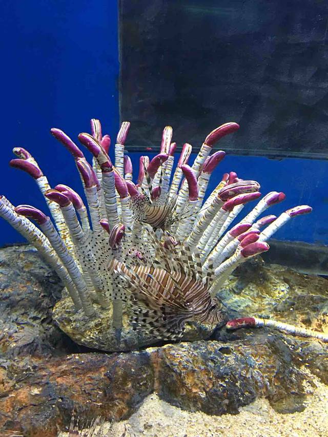 罗源湾海洋世界