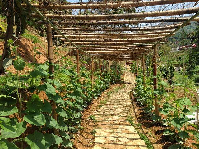 中国永春拳第一村(大羽村)