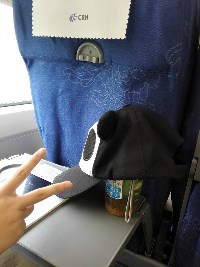 一家三口成都8日游