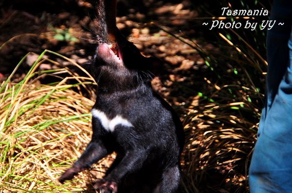 波诺朗野生动物保护区