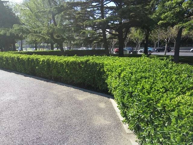 沈阳市万柳塘公园