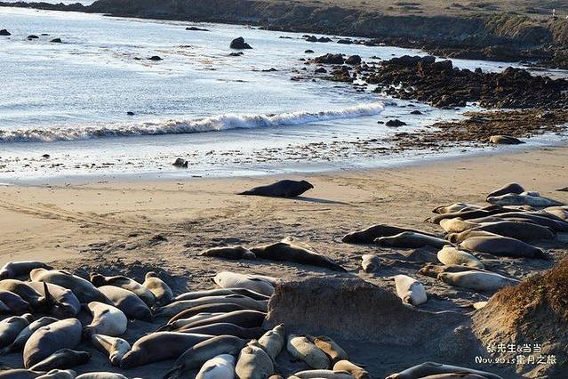 难忘美国西海岸,阳光海滩