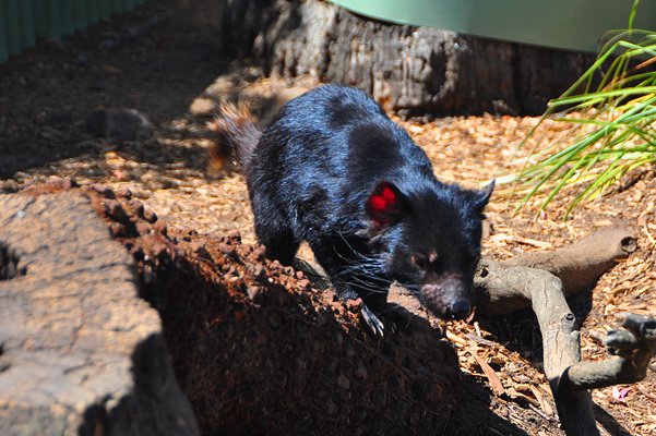 波诺朗野生动物保护区