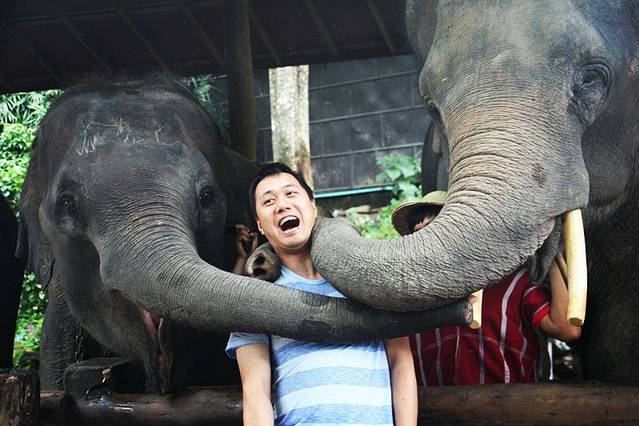 大象鼻子毛茸茸的,还有鼻涕,安迪叔的衣服不一会儿就被弄脏了