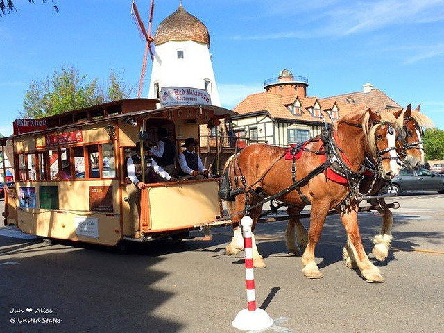 这里还有观光马车,在马车上欣赏小镇的美景也是一件惬意的事情.