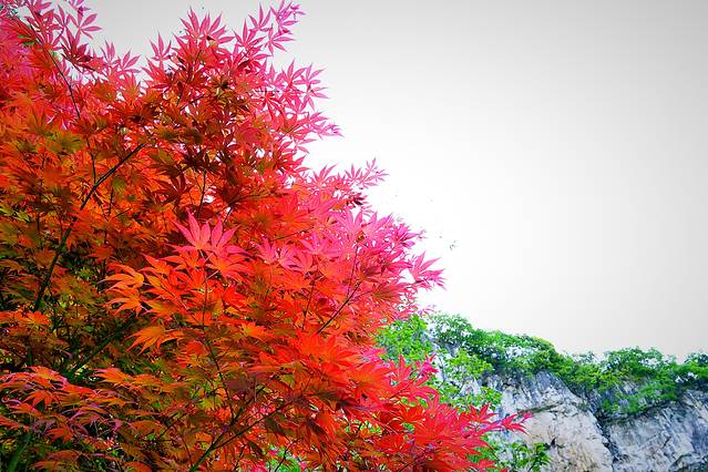 龙宫风景名胜区-漩塘