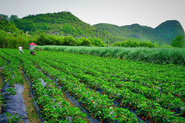 龙宫风景名胜区-漩塘